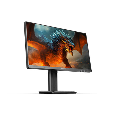 INNOCN 25インチ WQHD 1440p 240Hz MiniLED ゲーミング モニター INNOCN 25インチ WQHD 1440p 240Hz MiniLED ゲーミング モニター